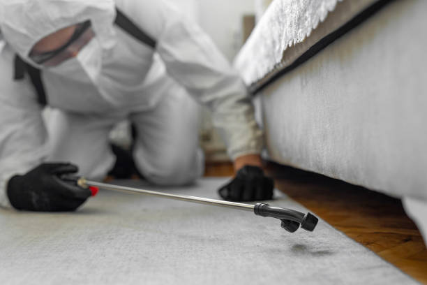 Professional Cockroach Control technician working in Wheeler AFB, HI